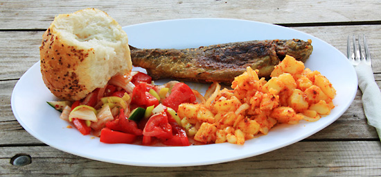 在线接收云短信验证码